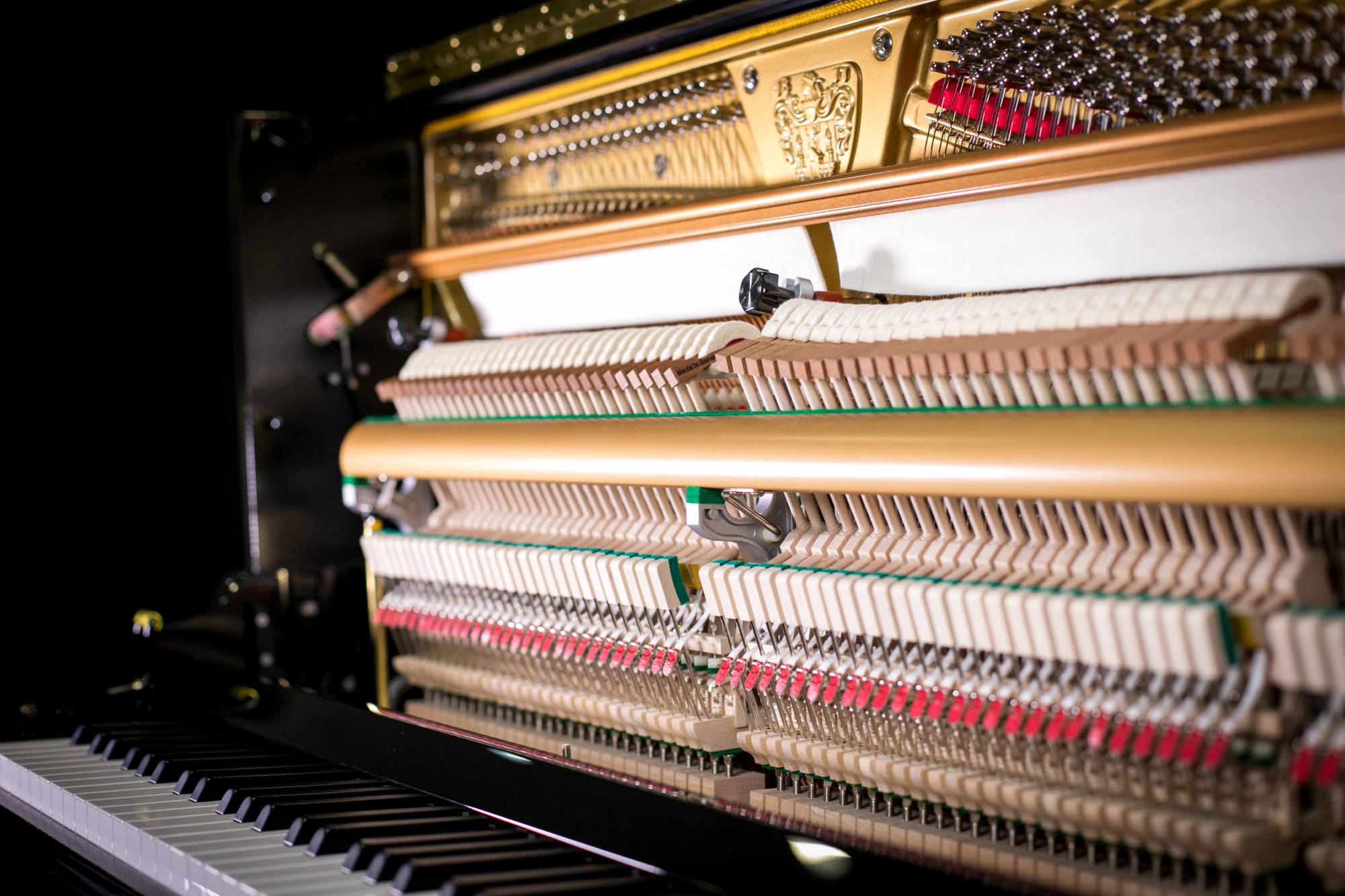Wilh. Steinberg P-125E New Upright German Acoustic Piano - Image 10