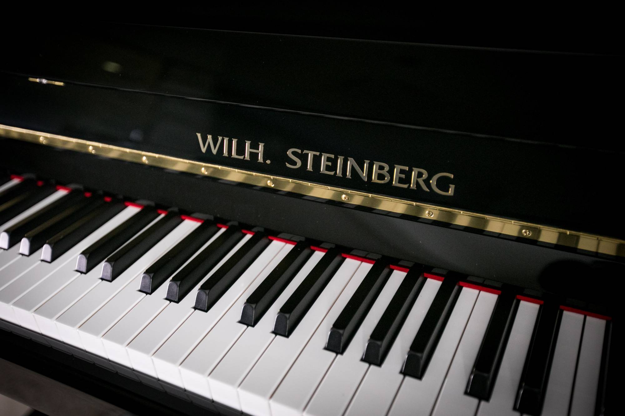 Wilh. Steinberg P-125E New Upright German Acoustic Piano - Image 4