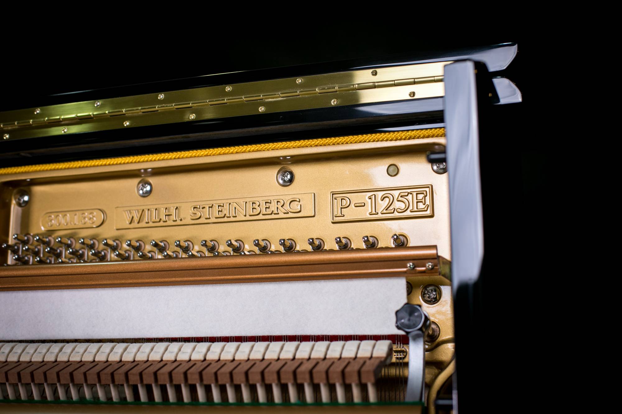 Wilh. Steinberg P-125E New Upright German Acoustic Piano - Image 9