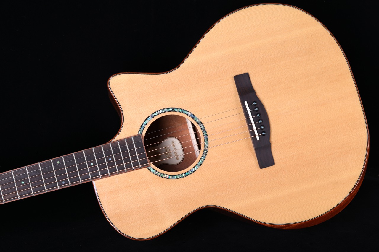 Alston D-100HCE Solid Top Acoustic Guitar - Image 6