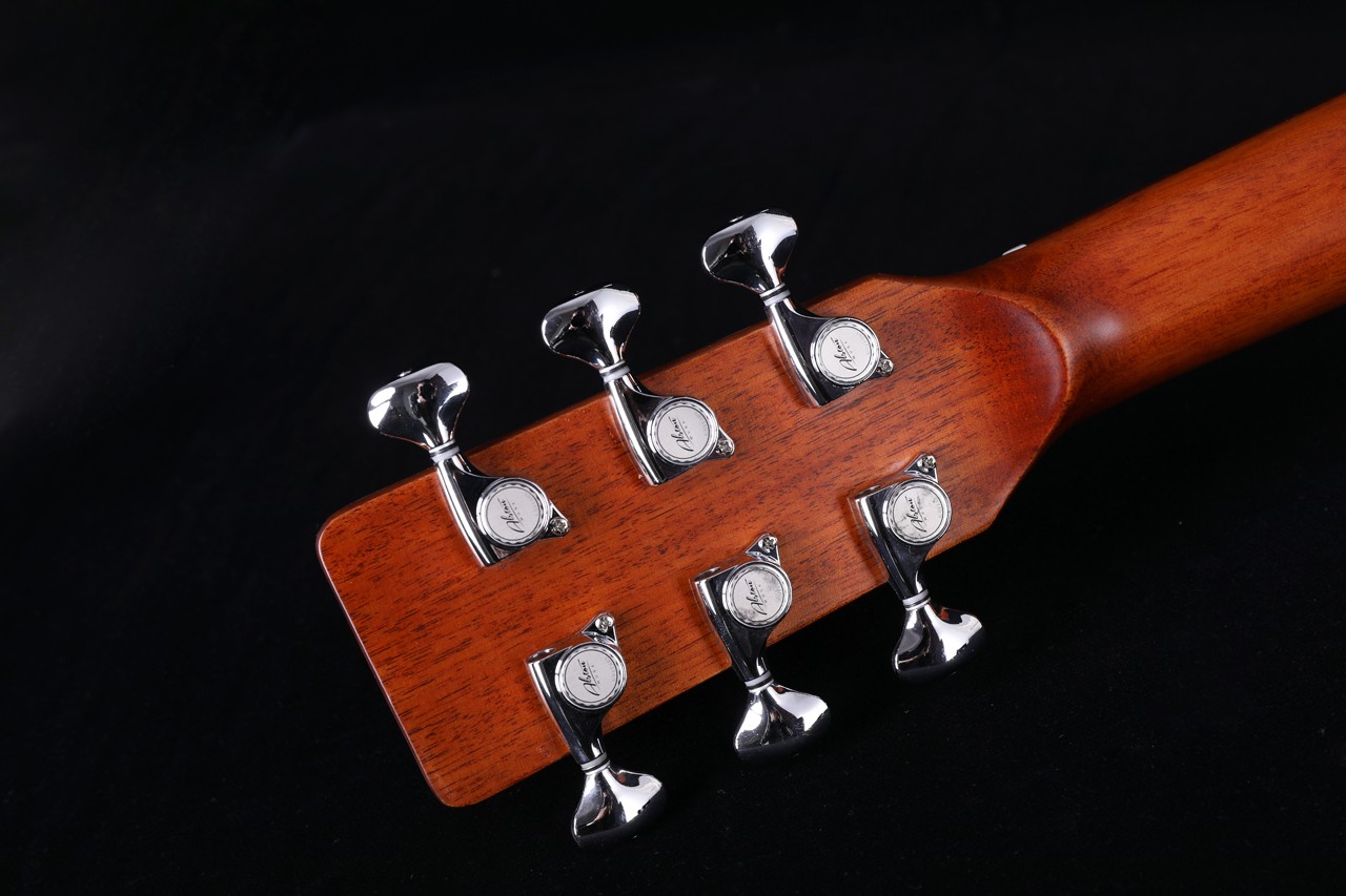 Alston D-100HCE Solid Top Acoustic Guitar - Image 2