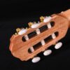 ALSTON SL-09 Classical Guitar 3/4 Size - Image 6